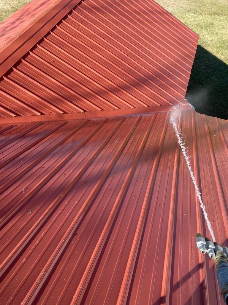 Professional Roof Cleaning Services