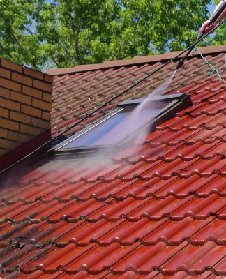 Professional Roof Cleaning Services