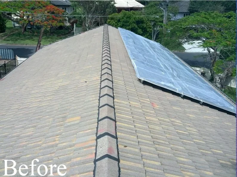 roof-painting-cape-town-1587x594-1920w